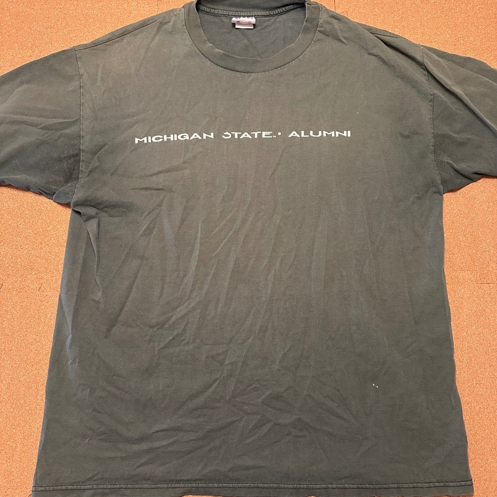 Champion T-Shirt Mens XL Gray Michigan State Alumni Vintage Spartans Distressed